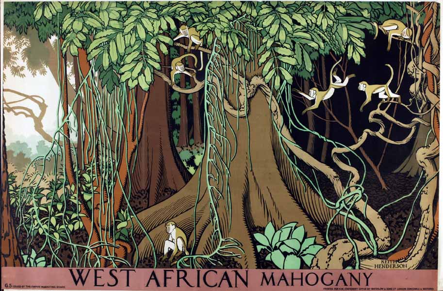 West African mahogany